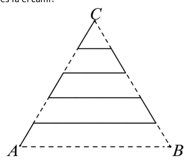 Figura del problema 10